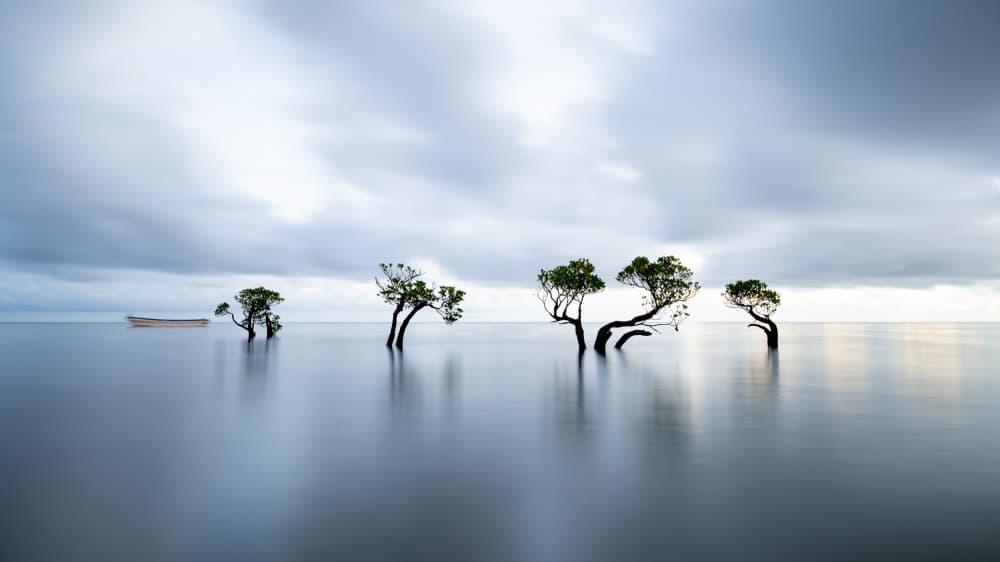Still Water Trees Boat by Wenjin Yu — canvas wall art