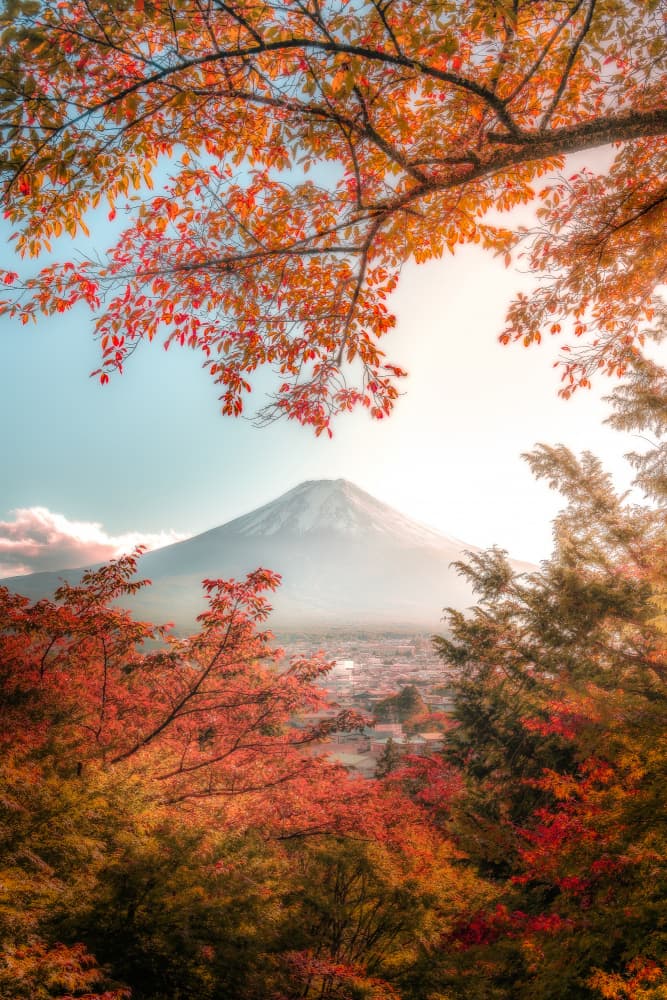 Mount Fuji Autumn View by まちゅばら/Hiroki Matsubara — canvas wall art