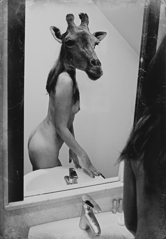 Woman With Giraffe Head by Bogdan Bouşcă — canvas wall art