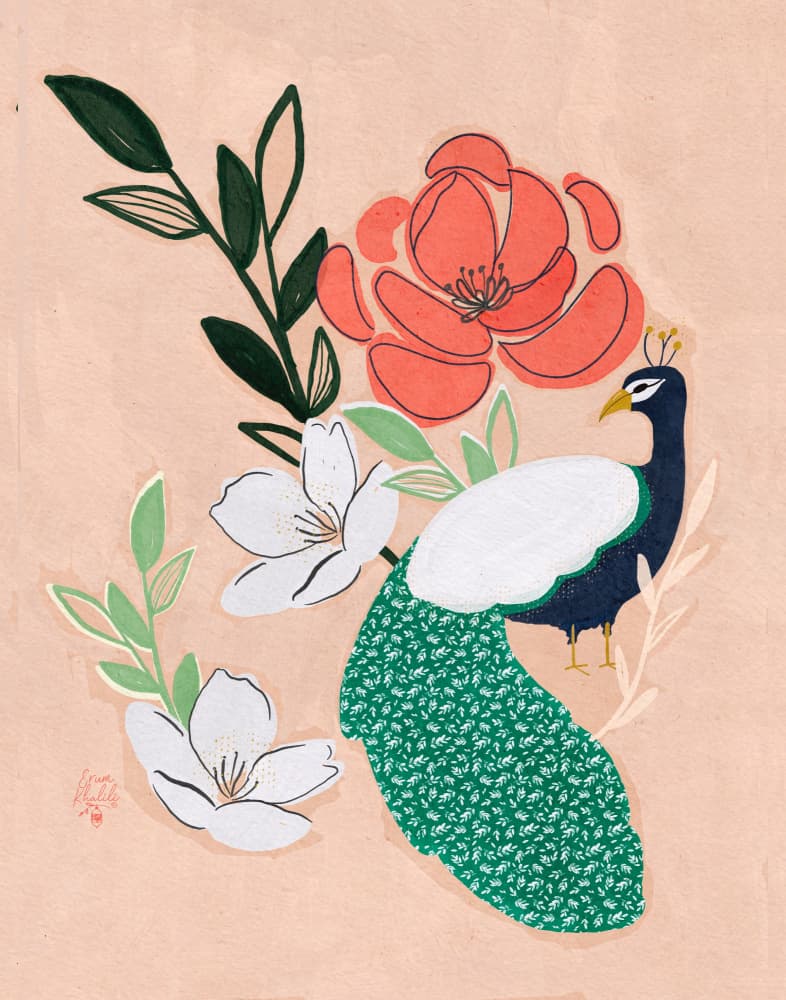 Peacock and Blossoms by Erum Khalili — canvas wall art