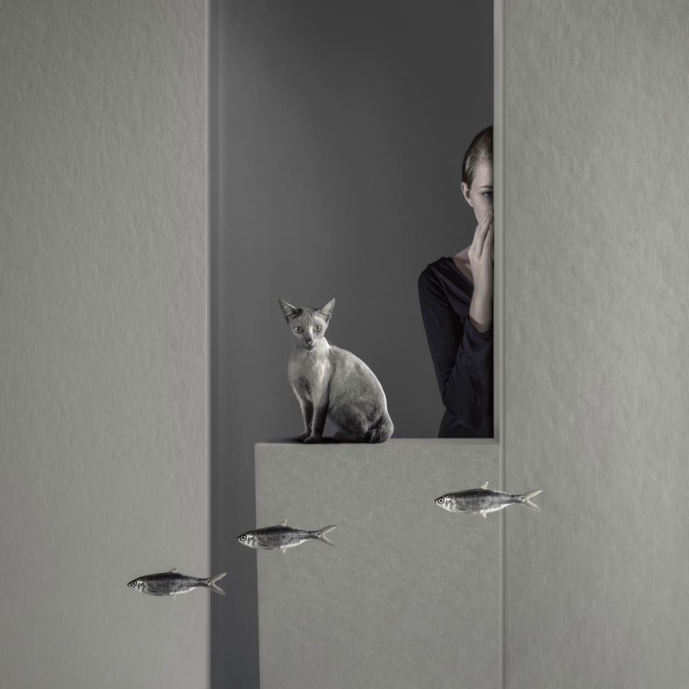 Quiet Gaze Floating Fish by hardibudi — canvas wall art