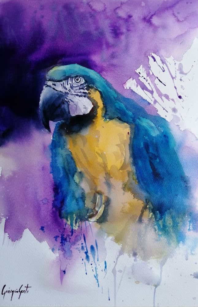 Vibrant Watercolor Parrot by Giorgio Gosti — canvas wall art