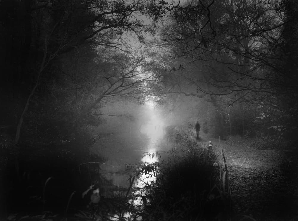 Solitary Walk Foggy Woods by Peter Davidson — canvas wall art