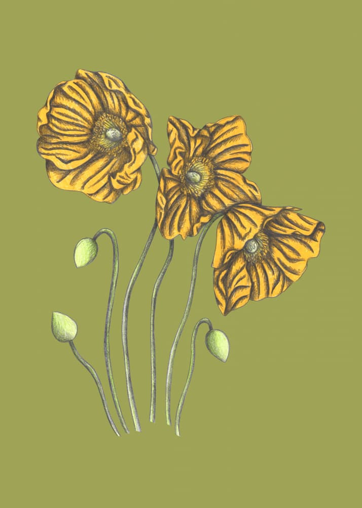 Yellow Poppies on Green by Cecilia Battaini — canvas wall art