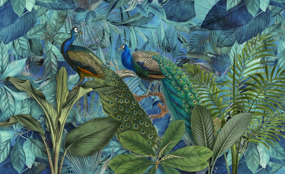 Lush Jungle Peacocks by Andrea Haase — canvas wall art