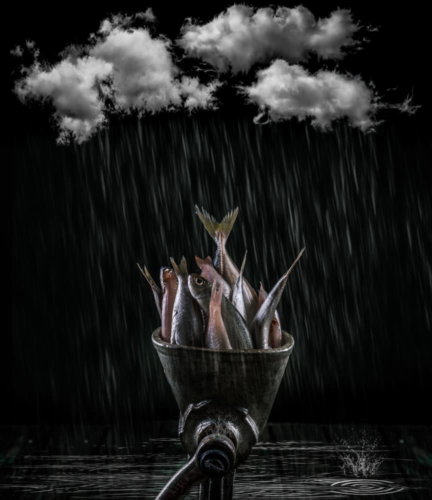 Stormy Fish Grinder by Farid Kazamil — canvas wall art