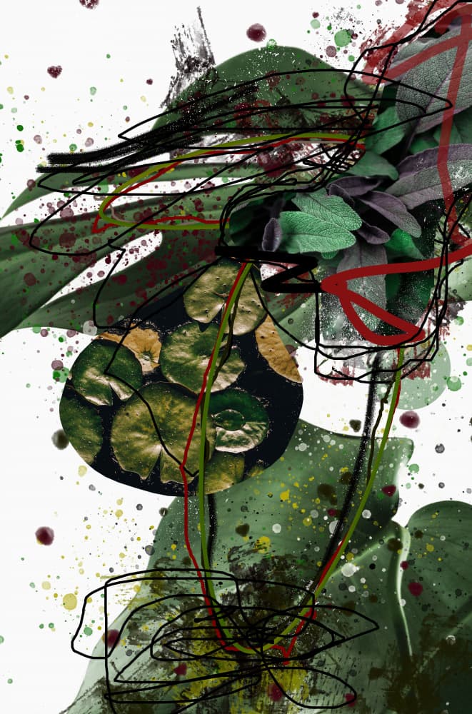 Leaves.png by Pelin Atilla — canvas wall art
