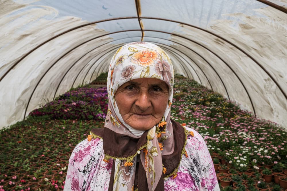 Woman in Flower Greenhouse by Ali Ayer — canvas wall art