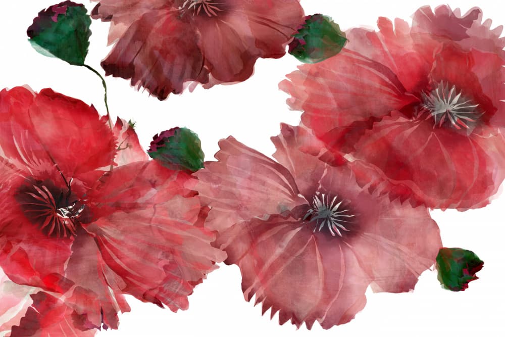 Vibrant Red Poppies by cartissi — canvas wall art