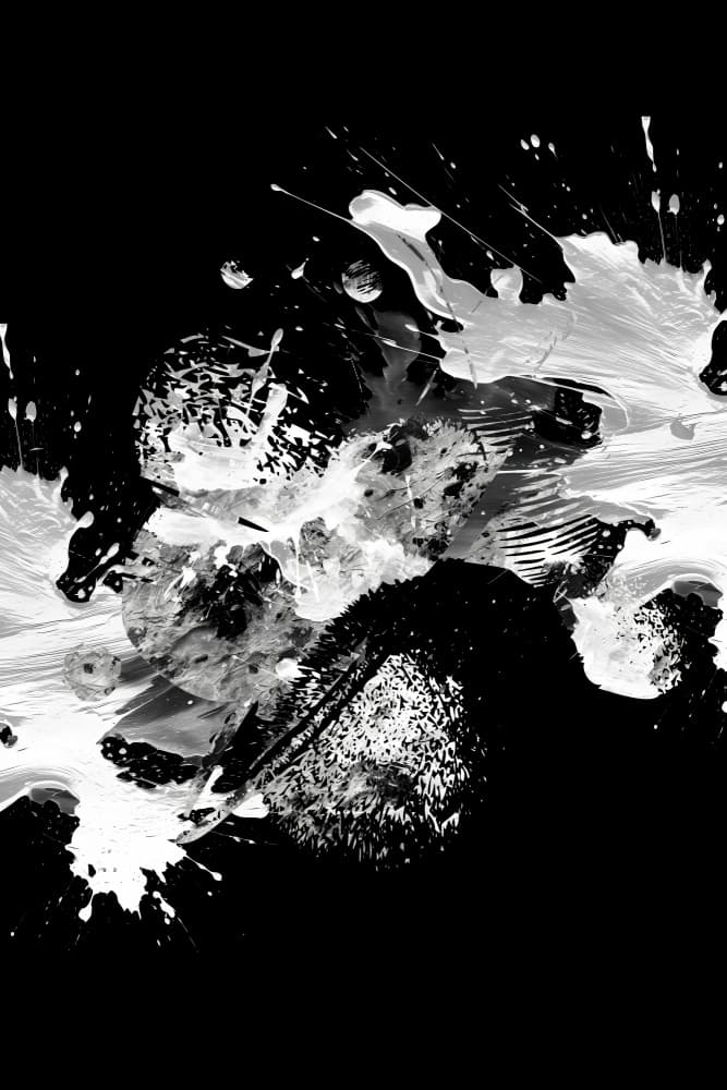 Dynamic Ink Splatter by Rafal Kulik — canvas wall art