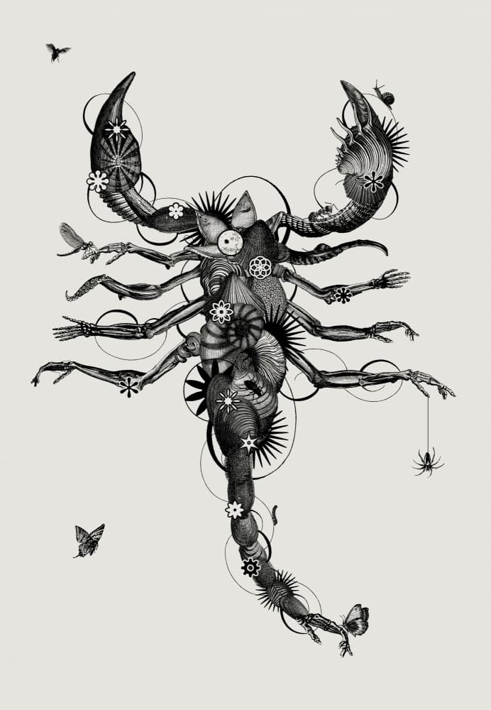 Intricate Clockwork Scorpion by Jaco Putker — canvas wall art