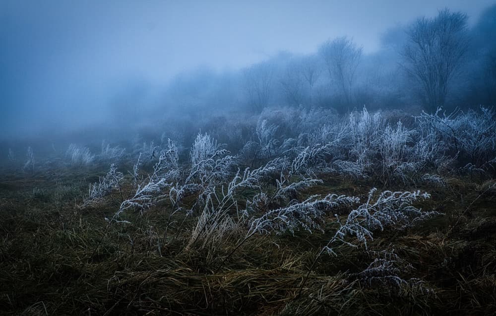 Frosty day by Takafumi Yamashita — canvas wall art