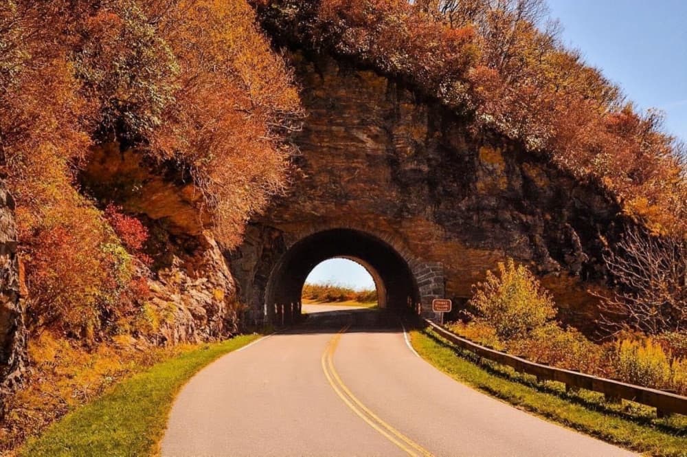 Autumn Road Tunnel by Del Mundo Imagery — canvas wall art