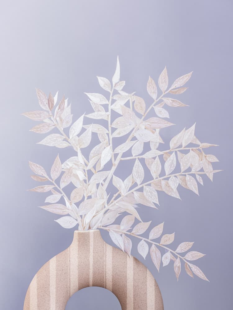 Ruscus by Kathrin Pienaar — canvas wall art