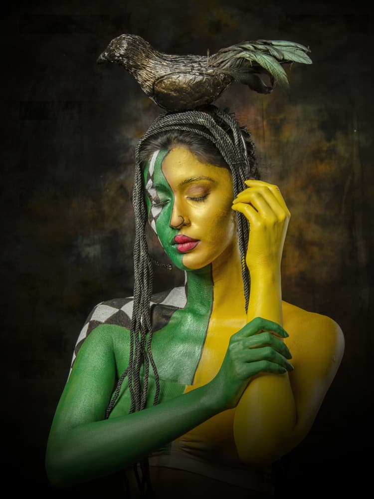 Painted Woman with Bird by PARTHA BHATTACHARYYA — canvas wall art