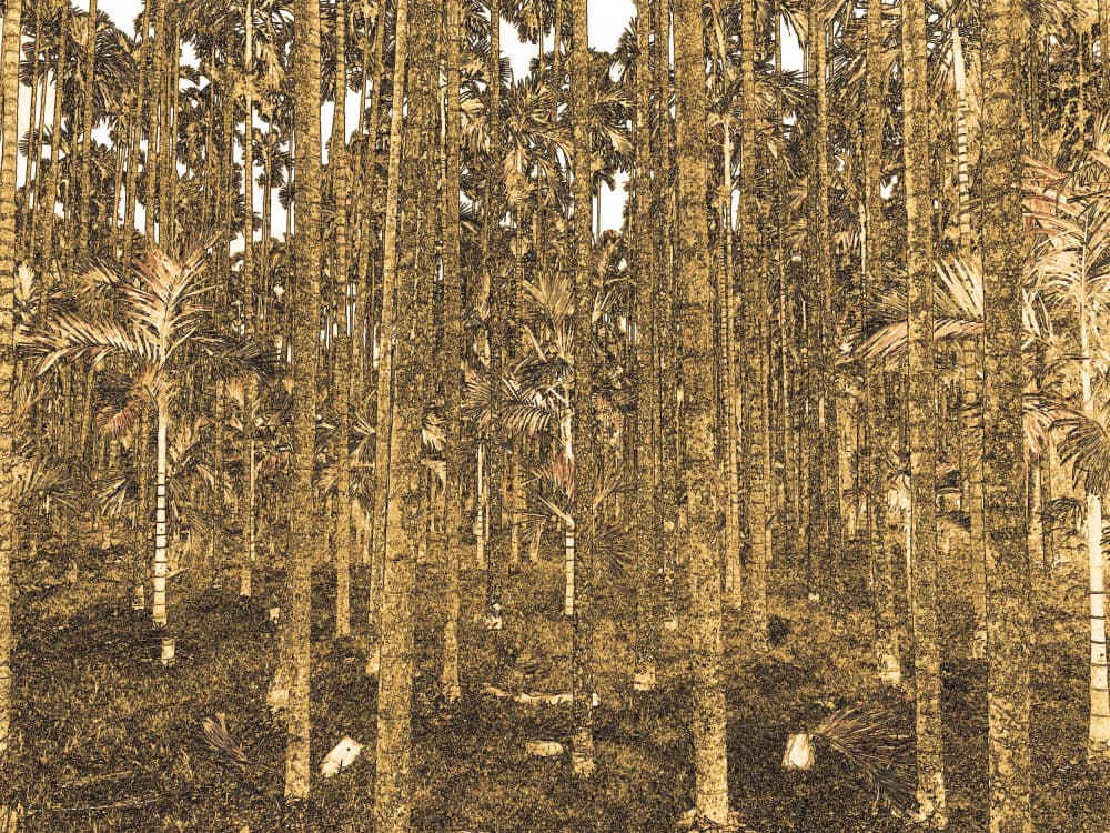 Golden Palm Forest by Santhosh ch — canvas wall art