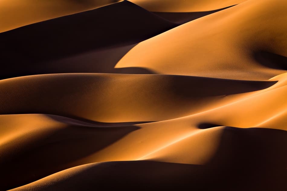 Golden Desert Curves by Mohammadreza Momeni — canvas wall art