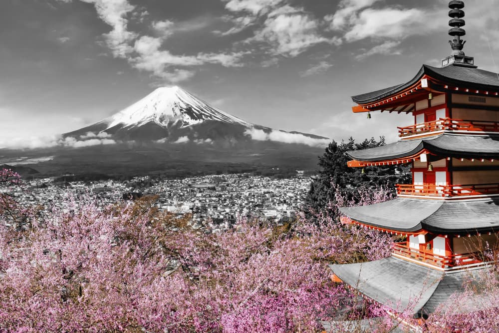 Mount Fuji Cherry Pagoda by Melanie Viola — canvas wall art