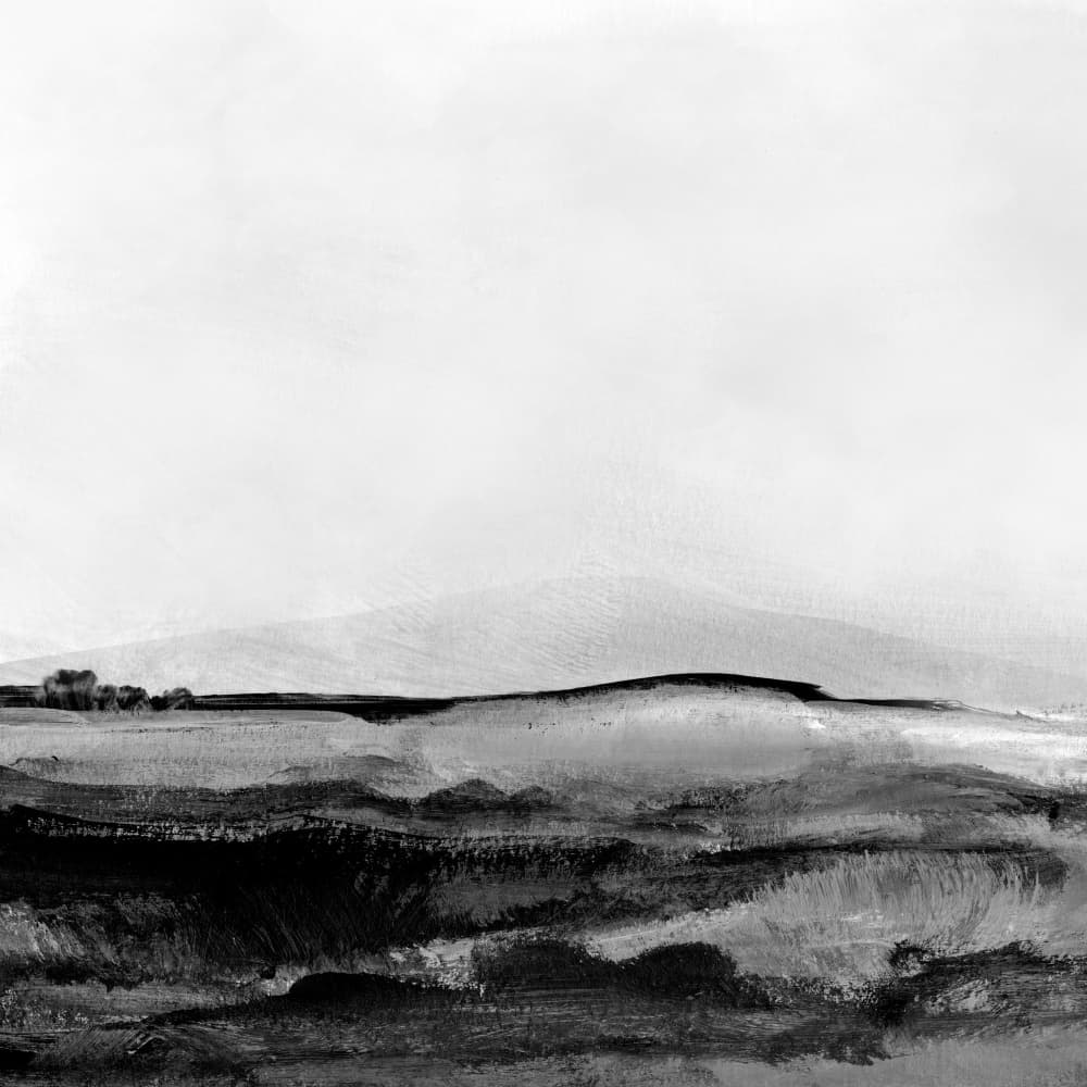 Mono Landscape No1 by Dan Hobday — canvas wall art