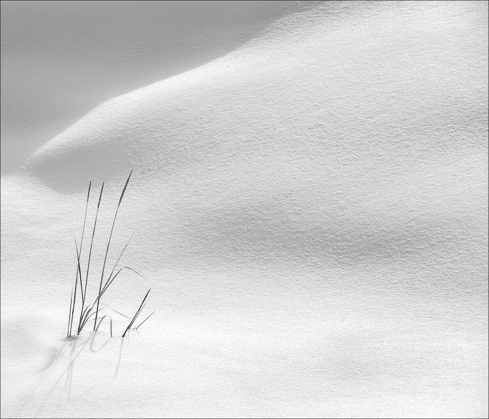 Winter Grass and Snow by Peter Paterson — canvas wall art