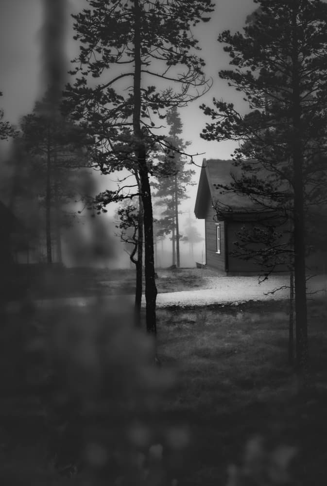 Misty Forest Cabin by Stephanie Kleimann — canvas wall art