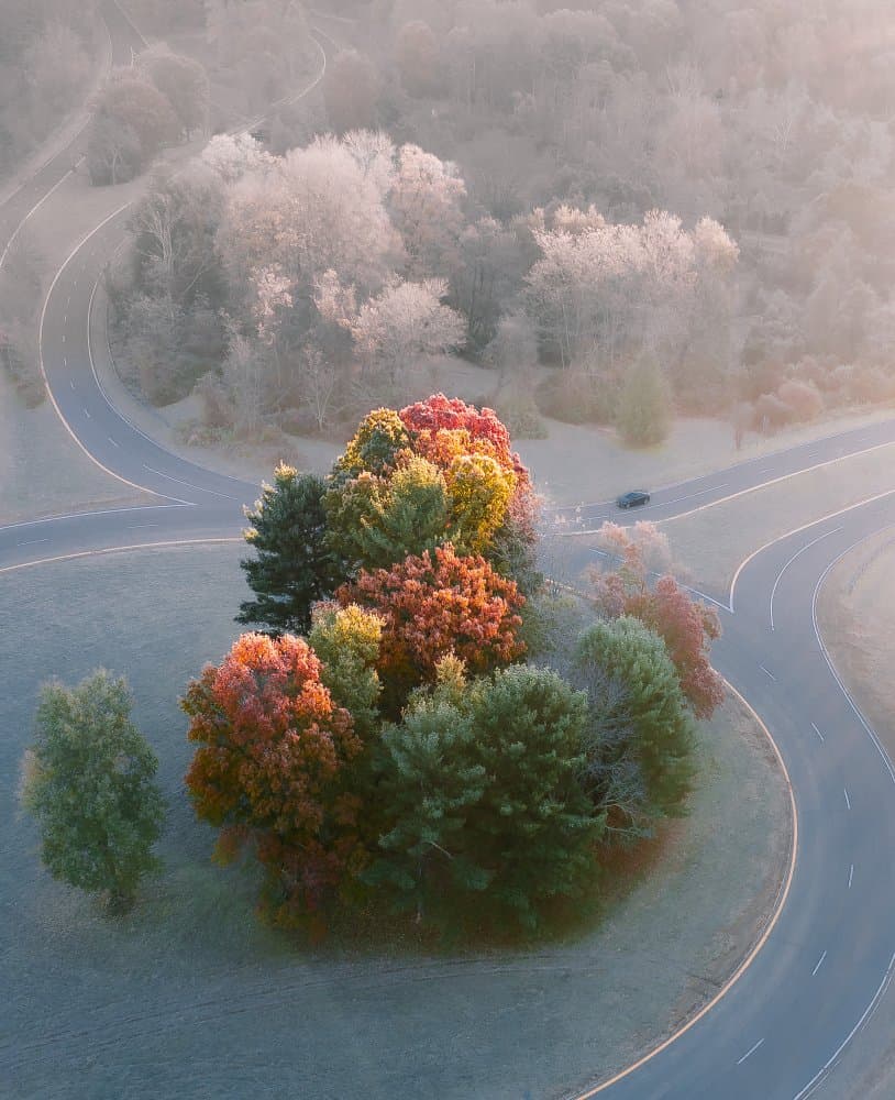 Frosty Autumn Roads by Wei (David) Dai — canvas wall art