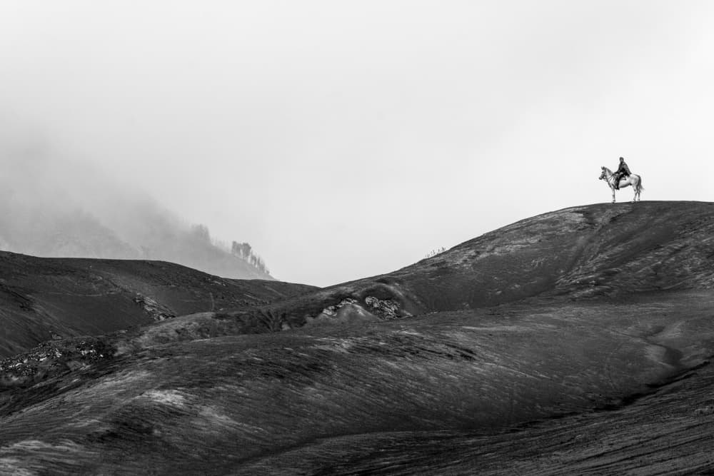 Solitary Rider Misty Landscape by Ali Khataw — canvas wall art
