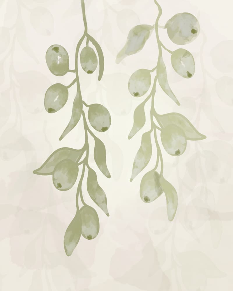 Olive Branches Watercolor by Sannel Larson — canvas wall art