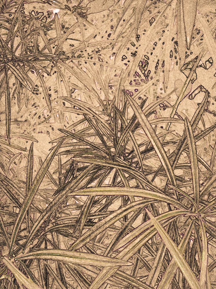 Organic Leafy Sketch by Santhosh ch — canvas wall art