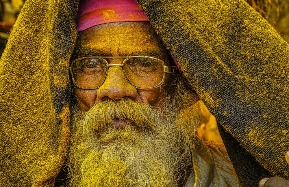 Yellow Powdered Elder by Rahul Wedpathak — canvas wall art