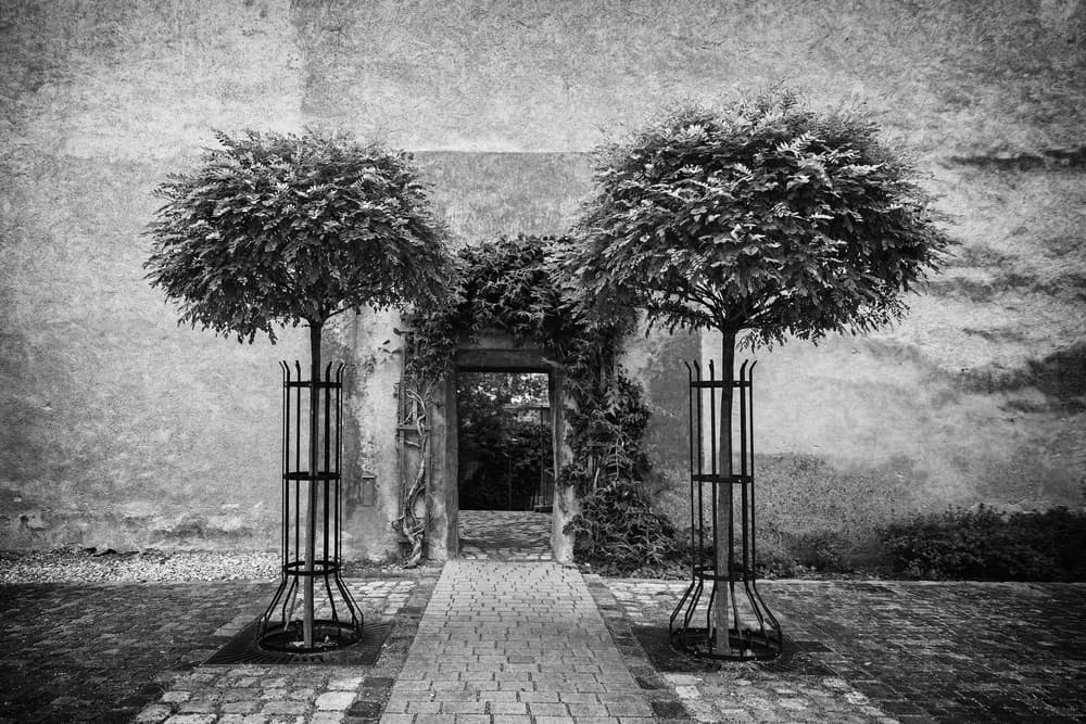 Old World Garden Entrance by Roswitha Schleicher-Schwarz — canvas wall art