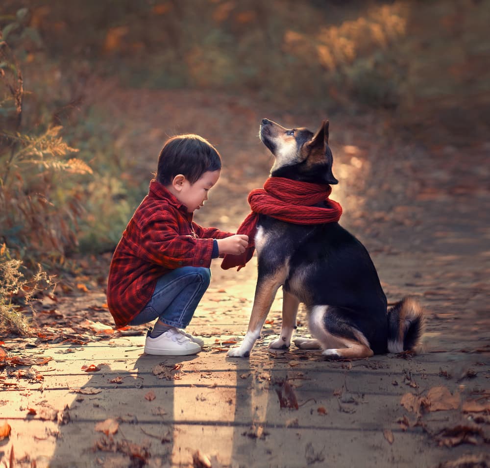 Gentle Autumn Friendship by Catherine Wang — canvas wall art