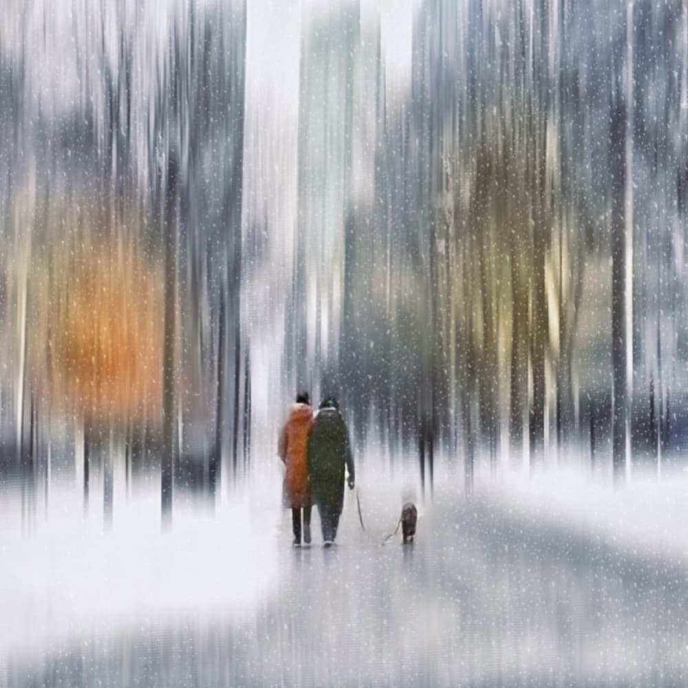 Peaceful Winter Walk by Weiwei — canvas wall art