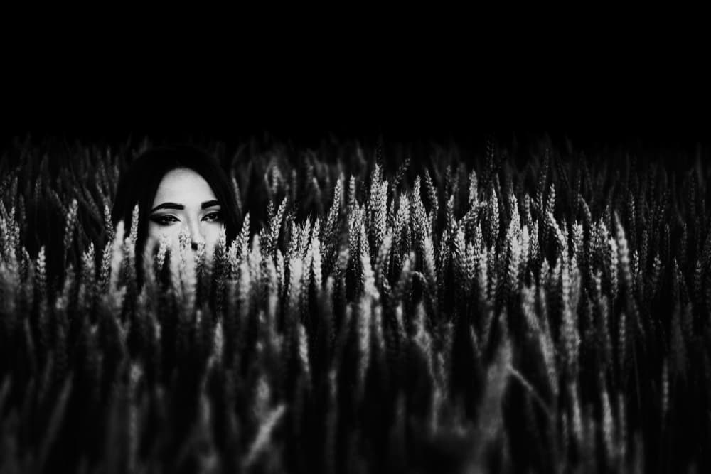 Eyes In The Wheat by Doru Petrutiu — canvas wall art