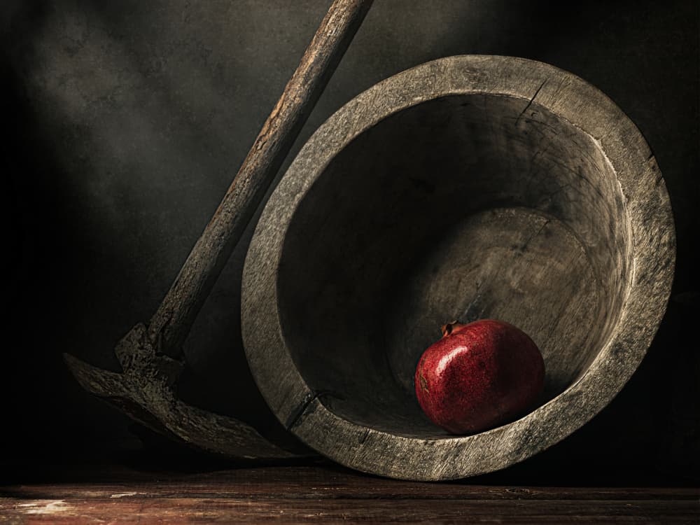 Dark Pomegranate Still Life by Vadim Kulinsky — canvas wall art