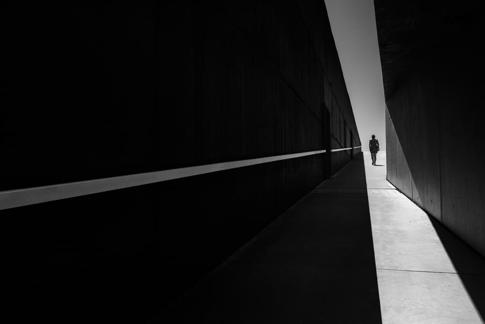 Solitary Walk in Light by João Castro — canvas wall art