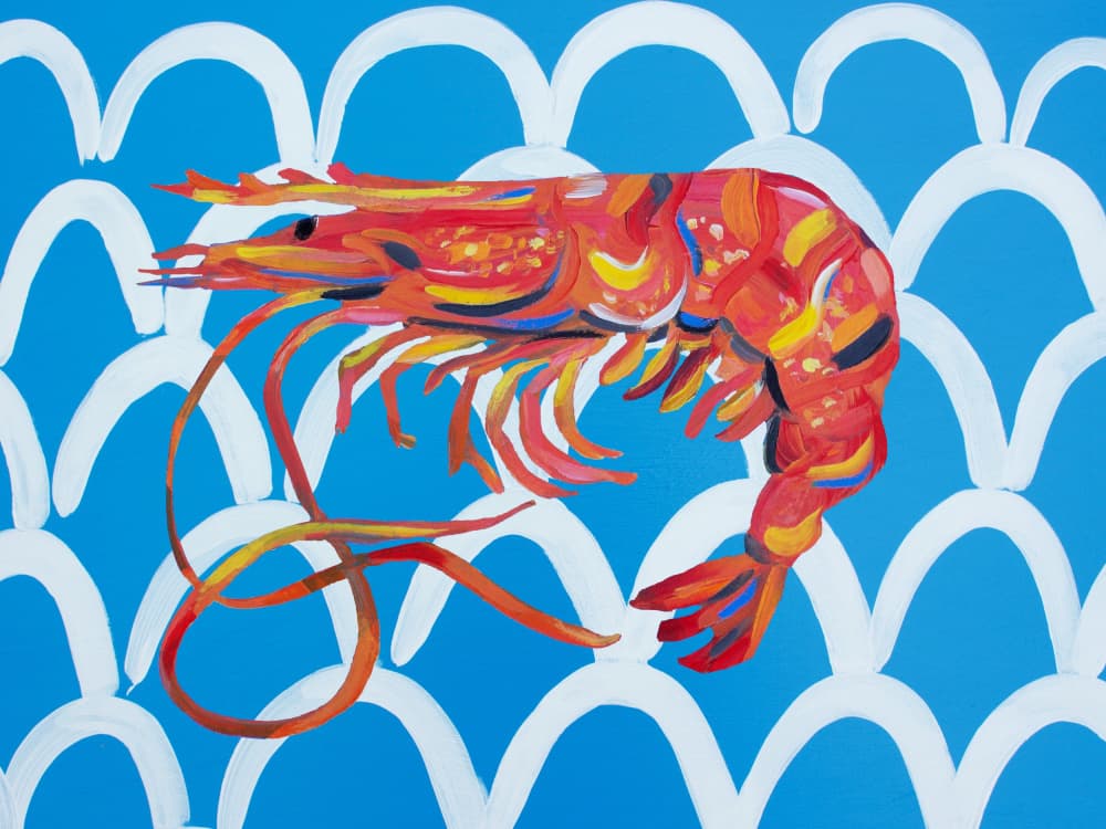 Colorful Ocean Shrimp by Alice Straker — canvas wall art