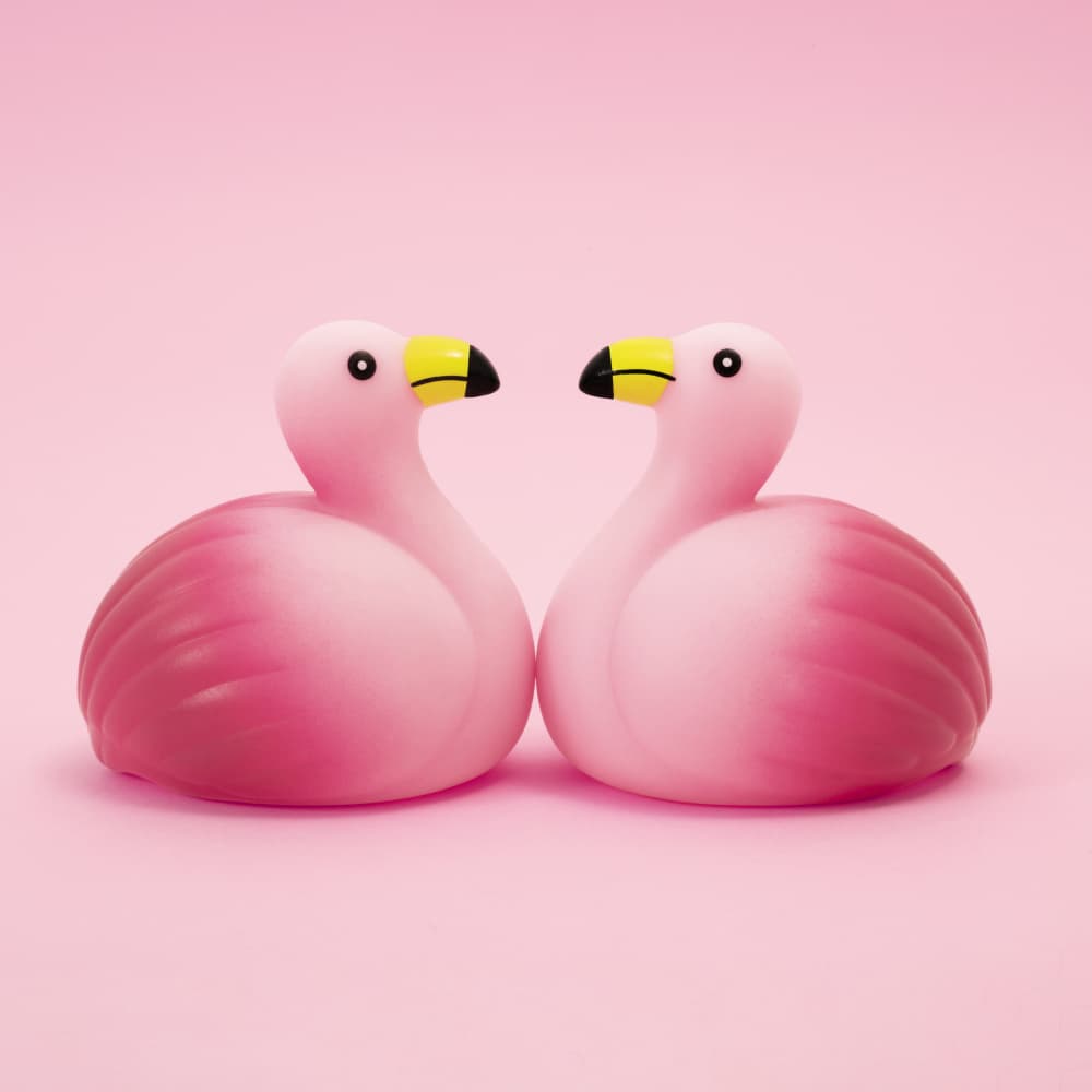 Flamingo Love Birds by Julia Ramiro — canvas wall art