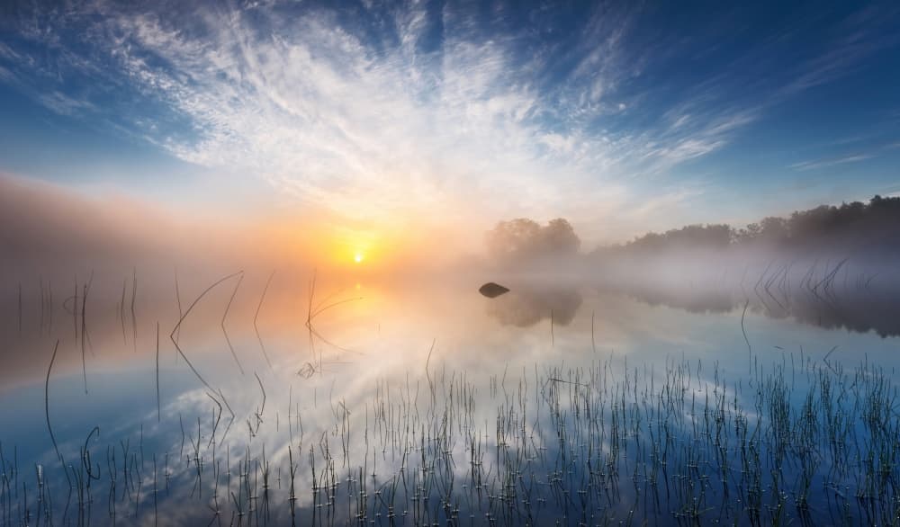 Misty Sunrise Over Lake by Martin Lutz — canvas wall art