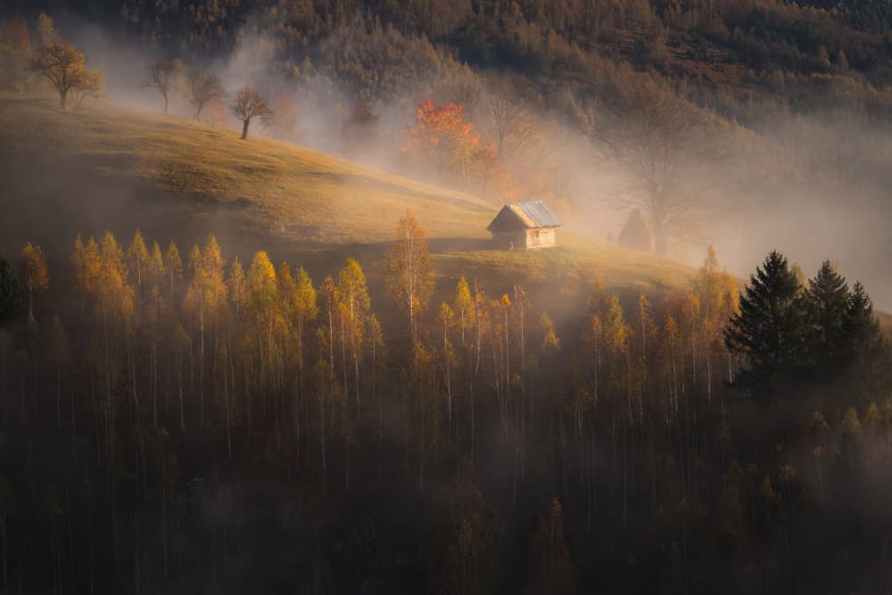 Golden Misty Autumn Cabin by Alexandru Ionut Coman — canvas wall art