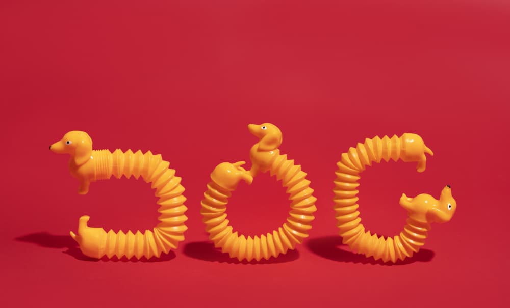 Playful Dachshund Letters by Julia Ramiro — canvas wall art