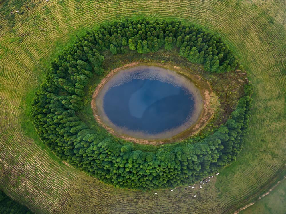 Circular Forest Lake by David Martin Castan — canvas wall art