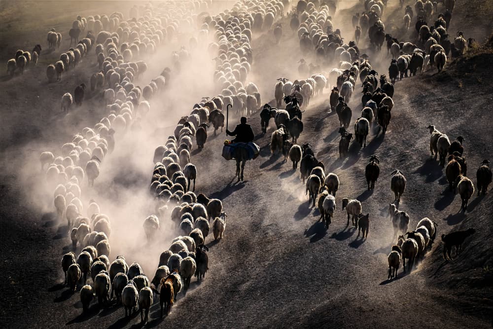 Dusty Journey by Mustafa Sahin — canvas wall art