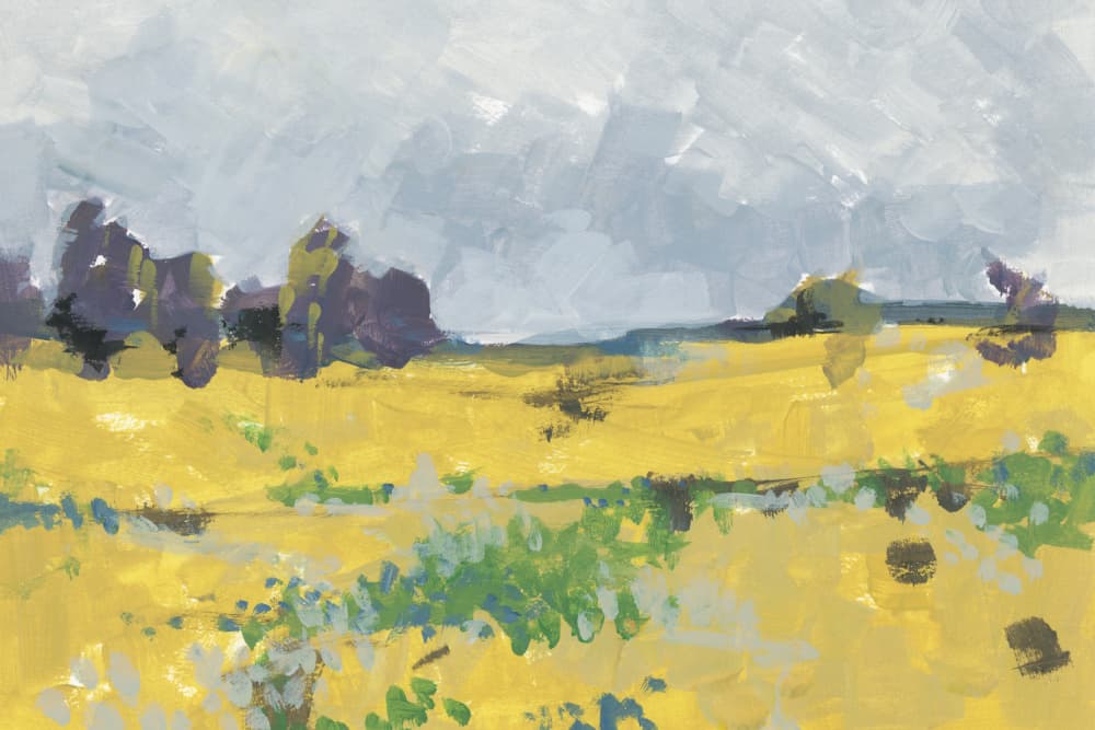 Vibrant Yellow Field by cartissi — canvas wall art