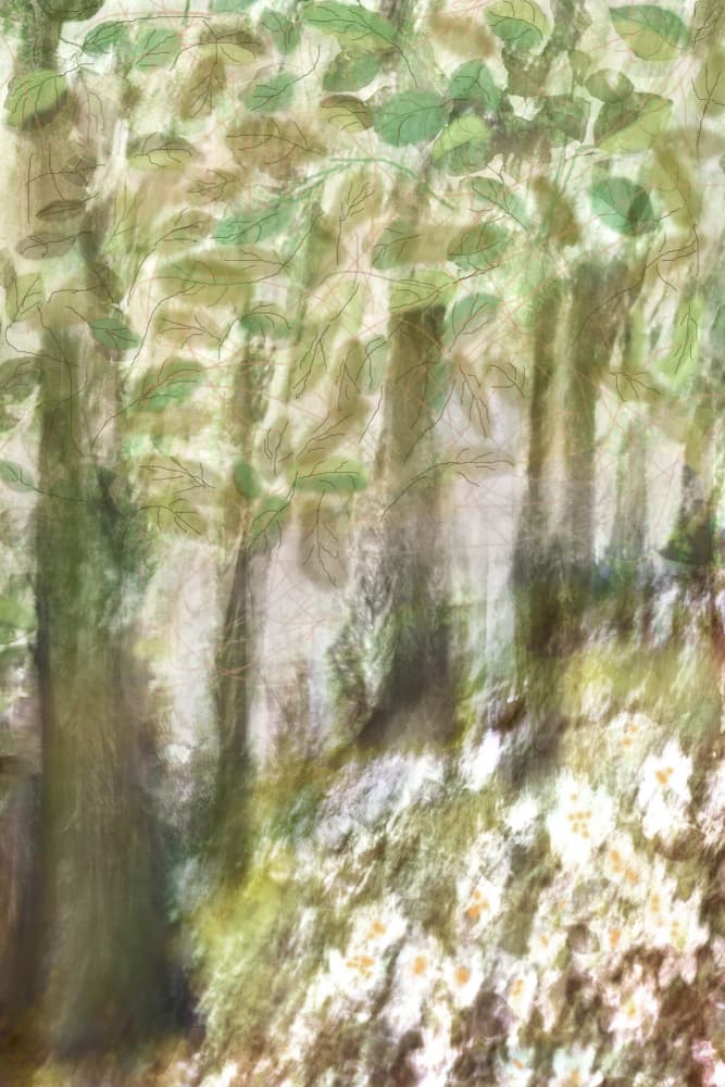 Dreamy Forest Flowers by Christina Sillen — canvas wall art