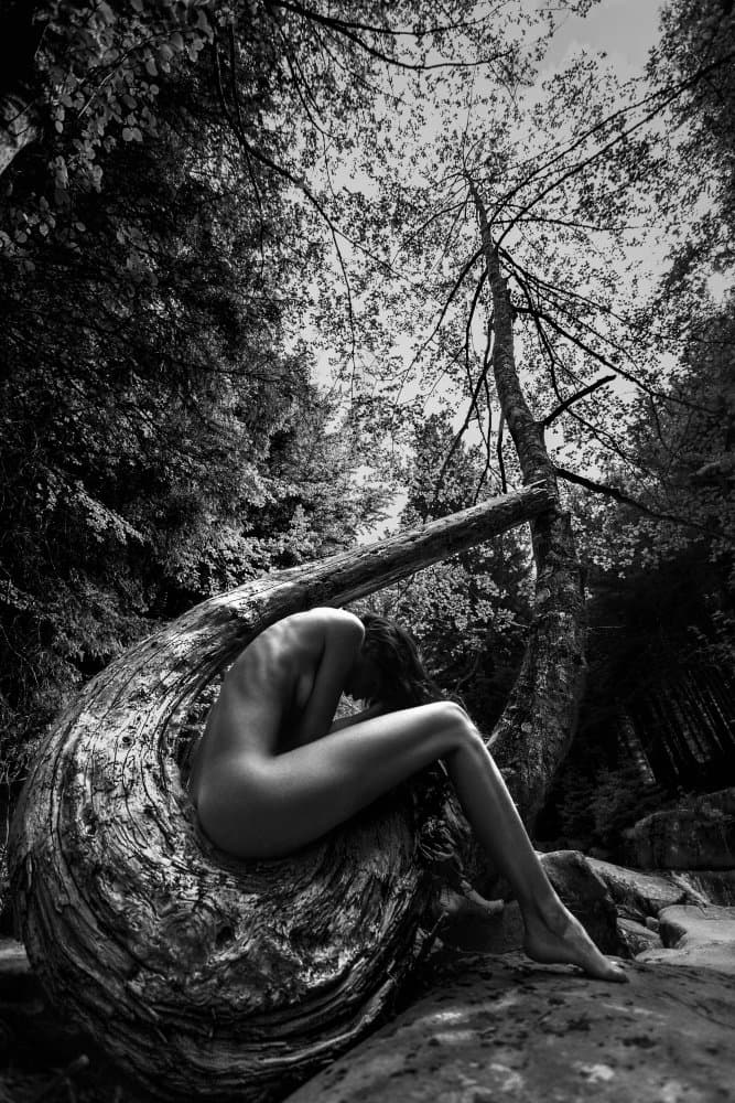 Naked Forest Form by Roberto Mannini — canvas wall art