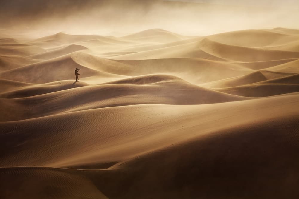 Golden Dune Solitude by Mirko Vecernik — canvas wall art