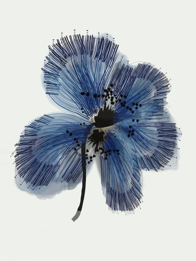Indigo Abstract Poppy by casa cartissi — canvas wall art