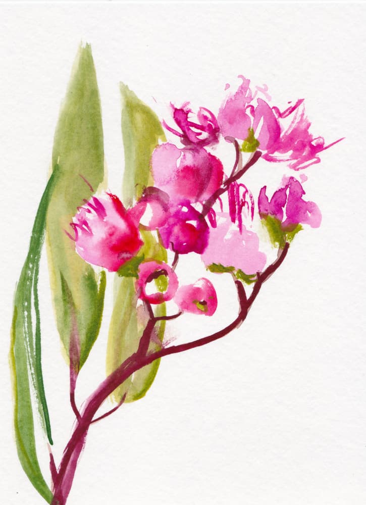 Vibrant Pink Flowers by Christine Lindstrom — canvas wall art