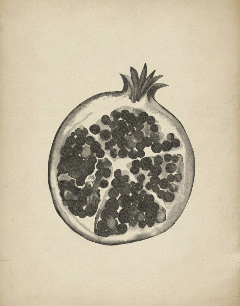 Cut Pomegranate by Josie George — canvas wall art